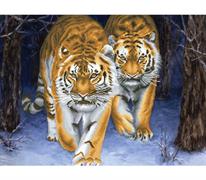 No Count Cross Stitch On Printed Aida 11, Stalking Tigers